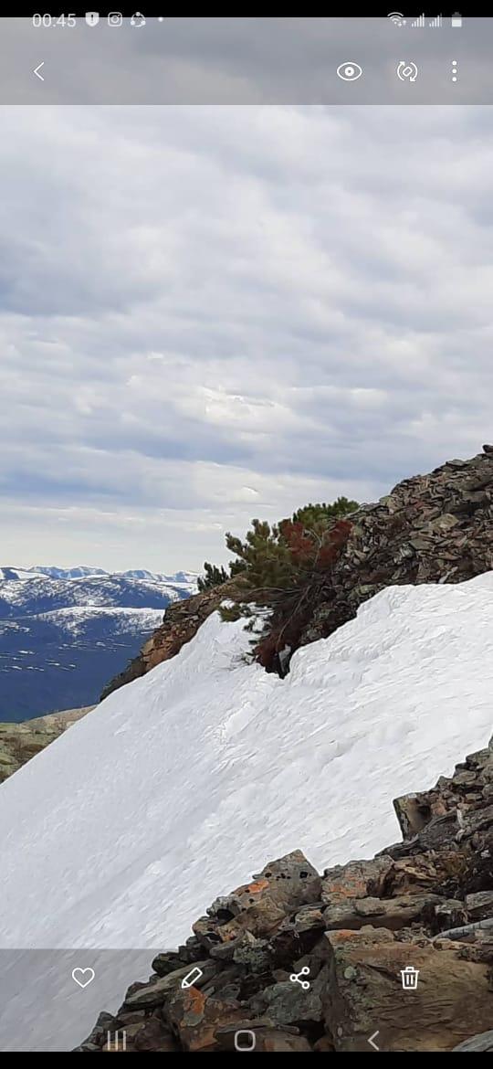 65cbea12-0b73-484d-b1ec-9c55d32fde37-whatsapp image 2025-11-06 at 20.33.25 (1).jpeg